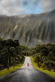 Tropical Way through the Green Hills of Hawaii, USA