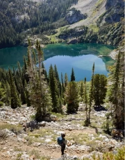 Mountain Lake and Idaho Forests: Natural Charm of the USA