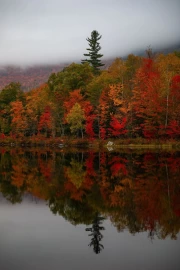 Maine's Autumn Magic: Vibrant Colors and Reflections in U.S. Waters