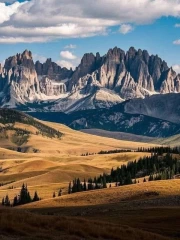 Montana Mountain Majesty: Wildlife of the American West