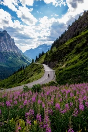 Montana's Freedom Road: A Journey Through the Mountains and Flower Fields of the USA