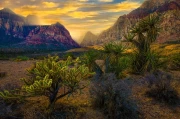 Nevada Desert Grandeur: Warm Tones of Nature in the USA