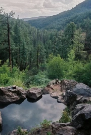 Peaceful Forests of New Mexico: Natural Splendor of the USA