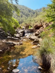 The Majesty of New Mexico's Wilderness: The Tranquility of Country USA
