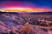 Sunset Over the New Mexico Wilderness: Wildlife USA