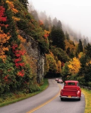 Autumn Path: The Enchantment of the North Carolina Woods, USA