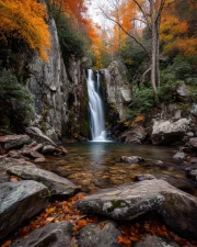 Autumn Waterfall in the Golden Forest of North Carolina