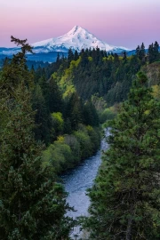 Snowy Peaks and Evergreen Forests of Oregon, USA