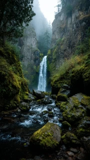 Oregon's Waterfall Charm: The Tranquility of Nature in the USA