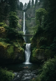Oregon Falls: The Heart of Green America