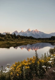 The Majesty of South Dakota's Mountains and Flowers: Natural Charm of the USA