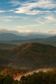 Tennessee's Misty Mountains: Morning Charm of the USA