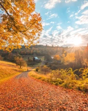 Vermont's Golden Autumn: The Charm of the American Countryside