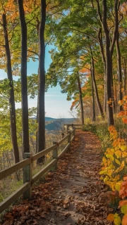 Vermont's Fall Trail: Warmth of Nature in the Interior