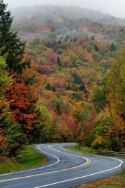 Autumn Path through the Woods of Vermont, USA