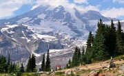 The Majesty of Washington Mountains: US Nature in Your Cozy Corner