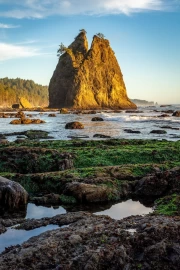 The Majesty of Washington Rocks: The Natural Tranquility of the USA