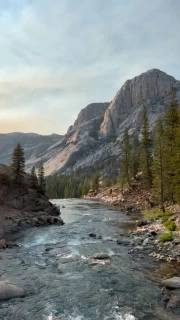 Wyoming Wildlife: The Allure of the USA