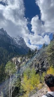 The Majesty of the Wyoming Mountains: Wildlife USA