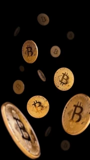 Soaring Bitcoins: The Magic of Digital Currency