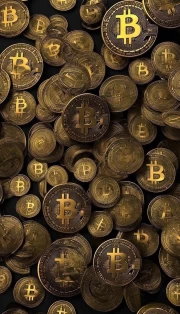 Bitcoin Vortex: Cryptocurrency Dynamics