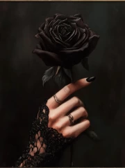 Mysterious Rose in Gothic Lace Hand
