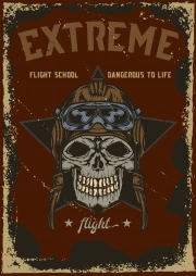 Pilot Skull: Adrenaline for Man Cave
