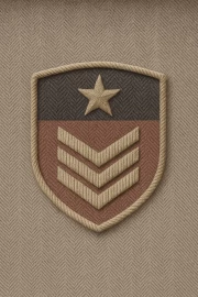 Emblem of Valor: Military Veterans Star