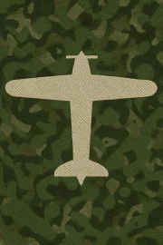 Airplane Silhouette: Honor and Memory of Military Veterans