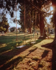 Sunny Park: Architectural Symphony of Nature