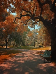 Architectural Gardens: Time and Space