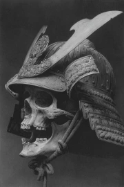 Skull of the Samurai: The Greatness and Power of the Age