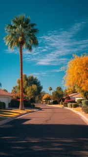 Sunny City: Architectural Streets