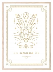Capricorn Wisdom and Ambition: Zodiac Sign