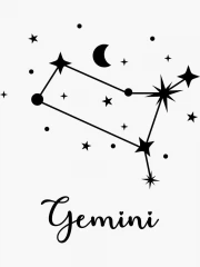 The Riddle of the Gemini Constellation: The Charm of the Zodiac Sign