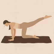 Harmony of Sport: The Art of Stretching