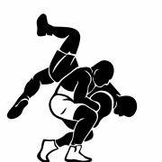 Energy of Wrestling: Dynamics of Wrestling