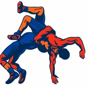 The Energy of Wrestling: The Dynamics of Sports and Wrestling