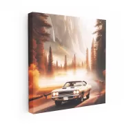 1970 Plymouth Road Runner at National Park - Classic Power