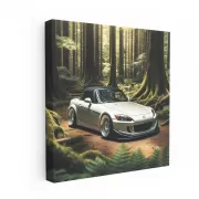 2001 Honda S2000 in Forest - True Performance Icon