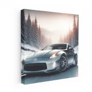 2009 Nissan 370Z Snow Drive - Performance Meets Elegance