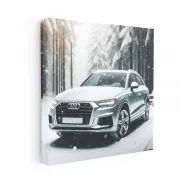 Audi Q3 in Snowfall: Elegance Meets Adventure