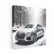 Audi Q3 Navigating Snowfall: Compact Luxury Performance