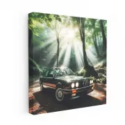 BMW E30 3 Series in Nature - Iconic Classic Drive