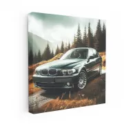 BMW E65 7 Series Nature - Luxury Redefined in Style