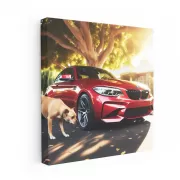 BMW M2 Parking - Compact Powerhouse in Action