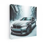 BMW M5 Winter Drive - Power Meets Precision