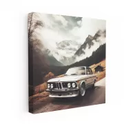 Vintage BMW in Valley - Classic Elegance and Style