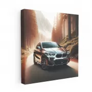 BMW X2 Adventure in National Park - Bold and Dynamic