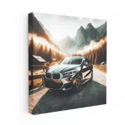 BMW X2 at National Park - Adventure Awaits with Style